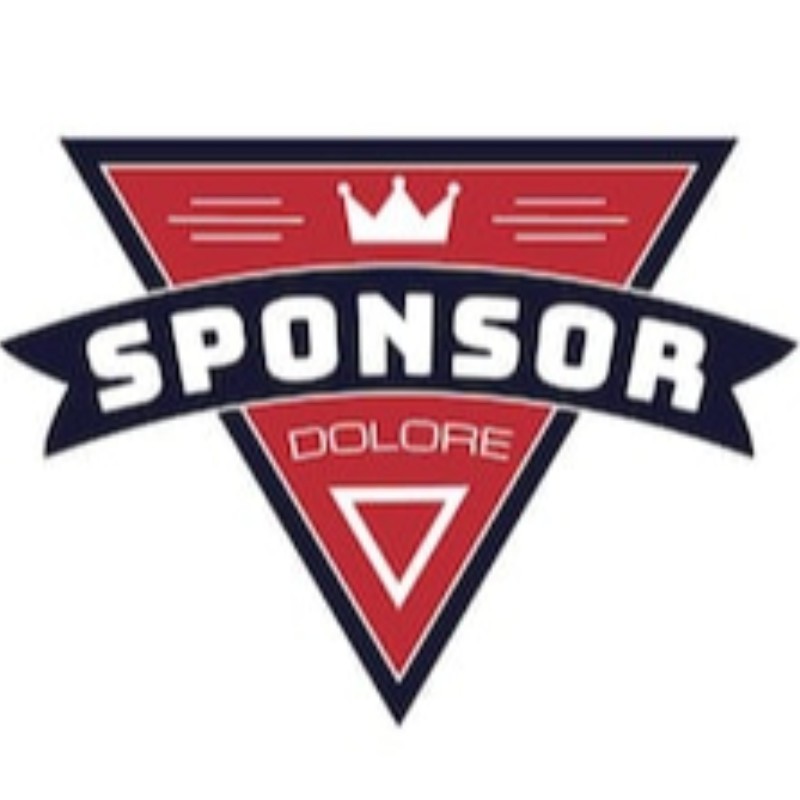 Sponsor 4